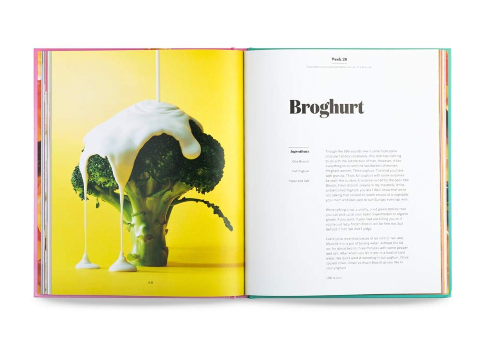 Pregnancy Cookbook