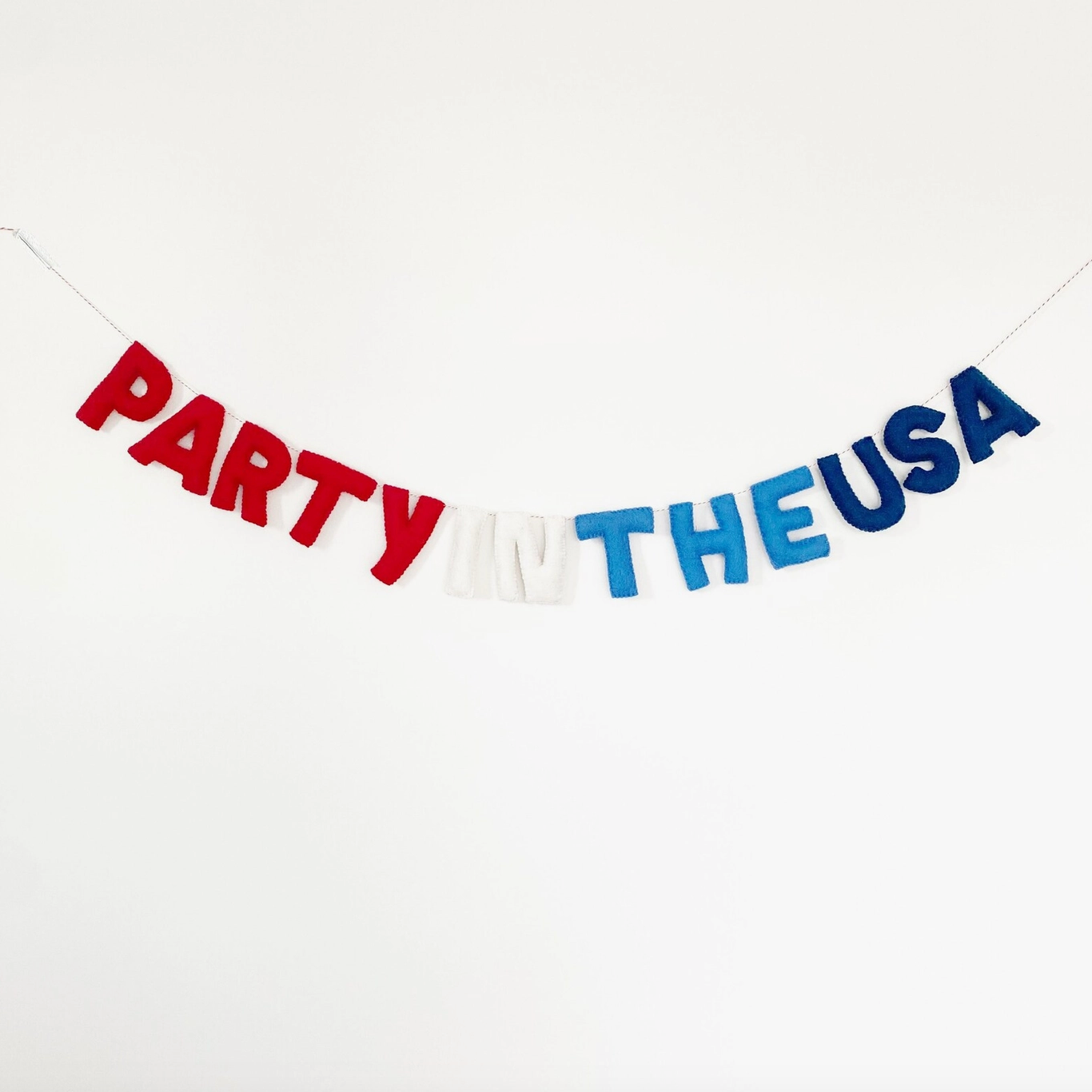 "Party in the USA" Felt Banner
