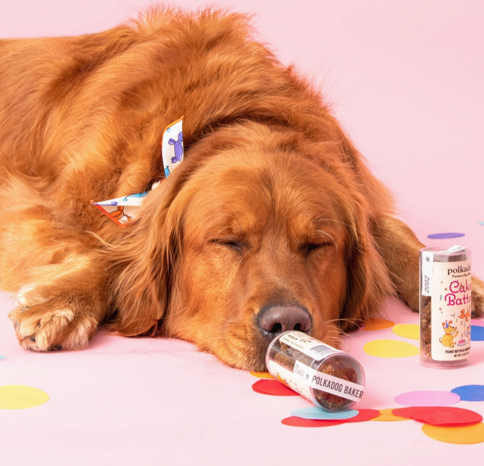 Cake Batter Dog Treats (PB & Banana)