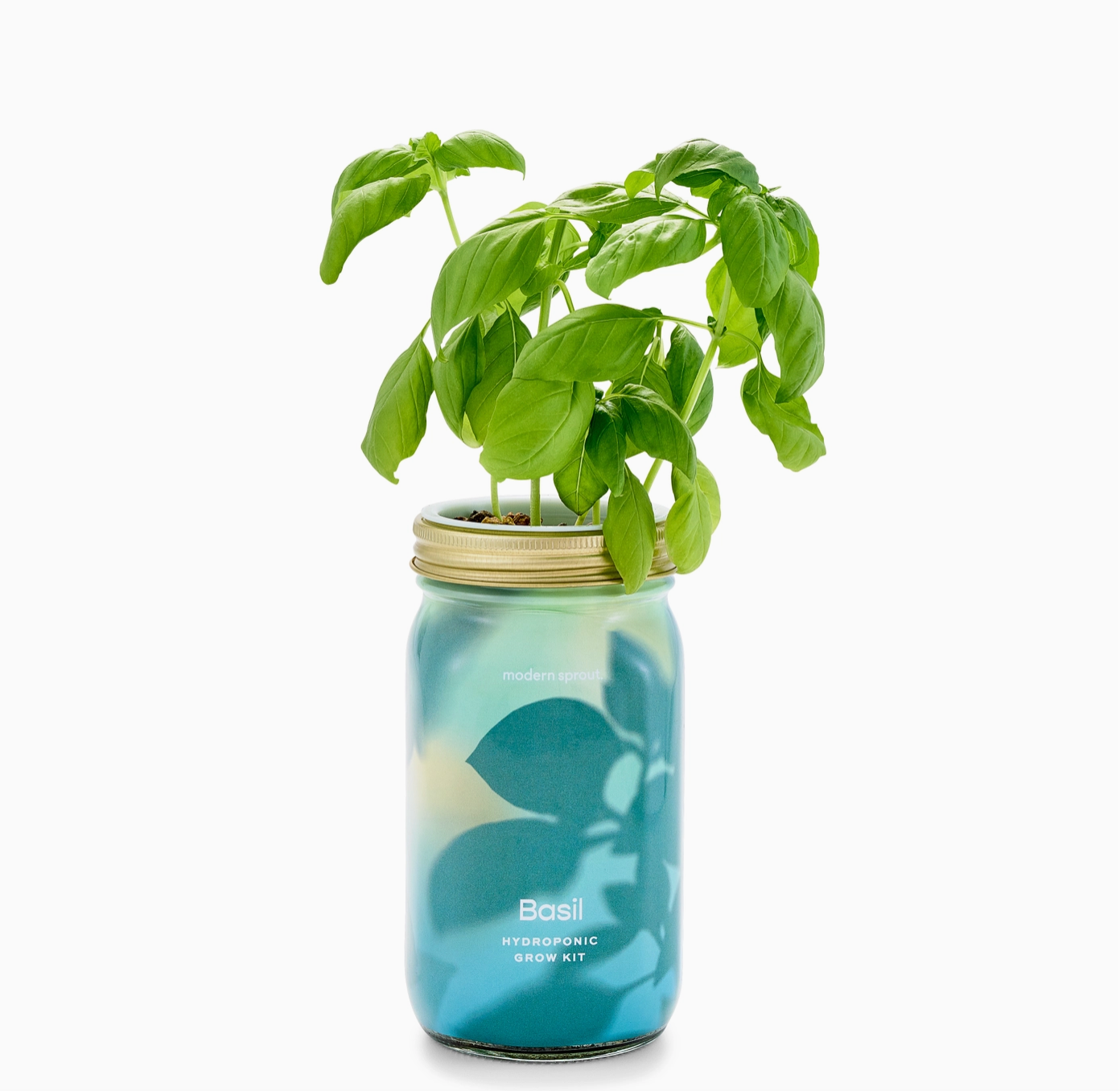 Basil Herb Garden Jar