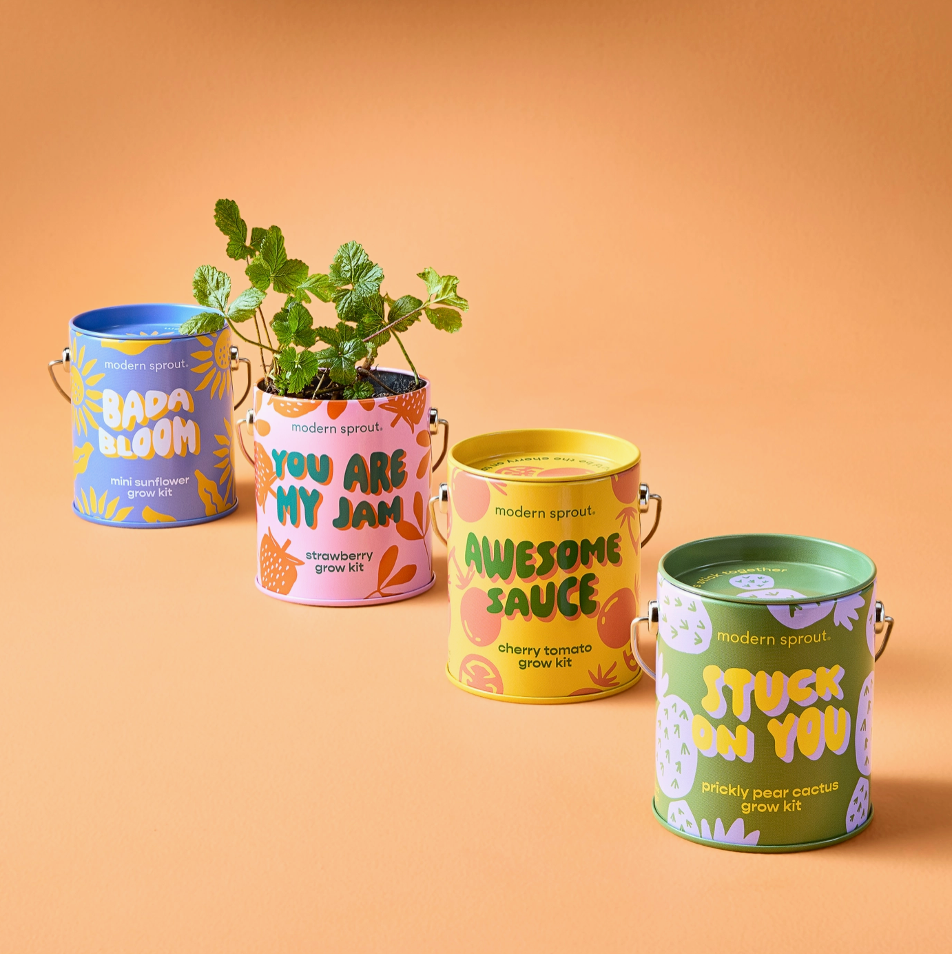 Bada Bloom: Grow Kit