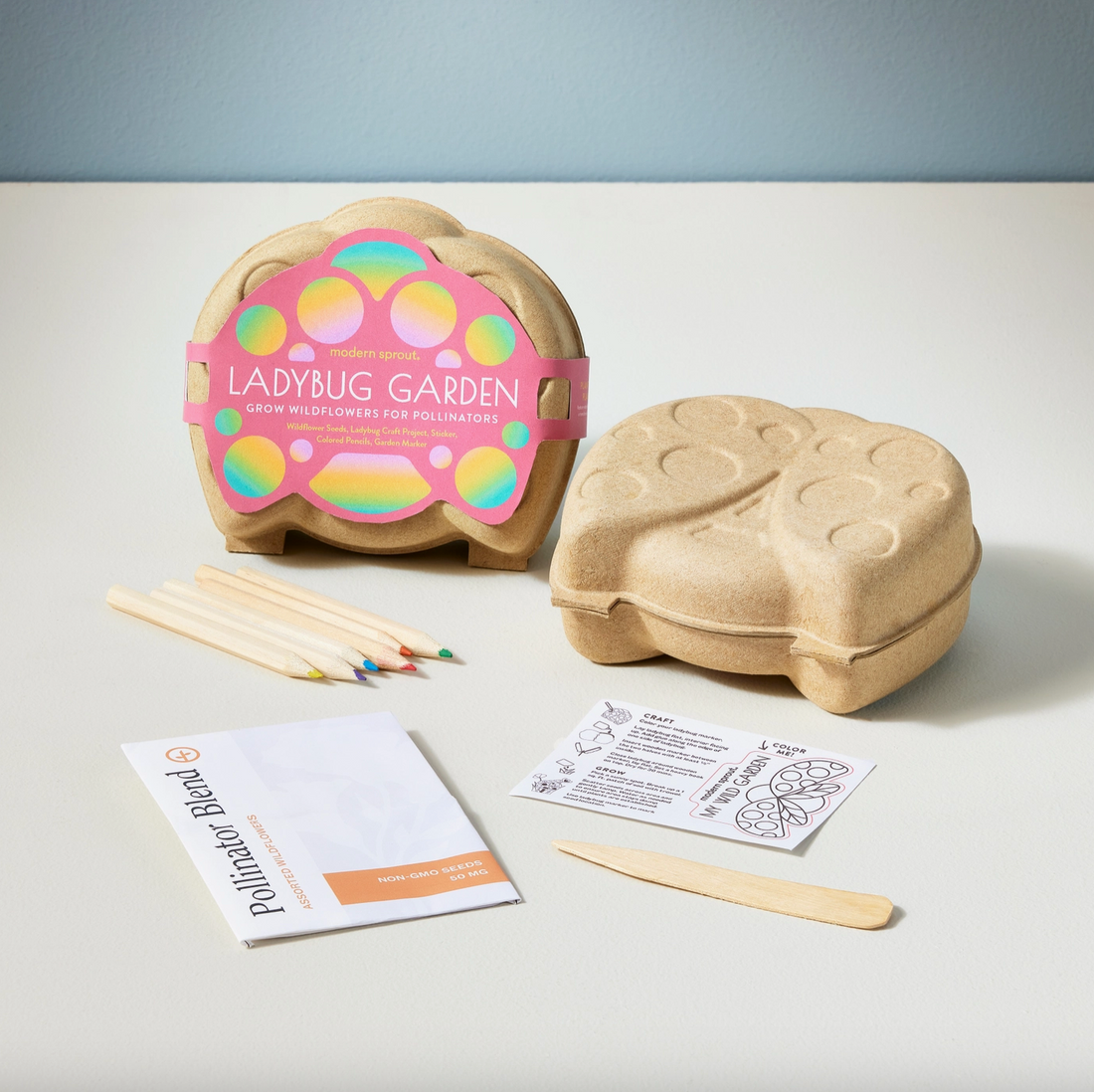 Curious Critters Activity Kit