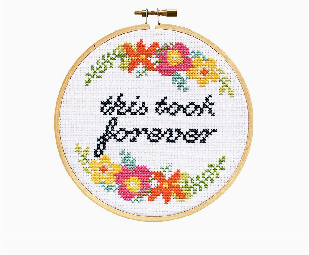 This Took Forever Cross Stitch Kit