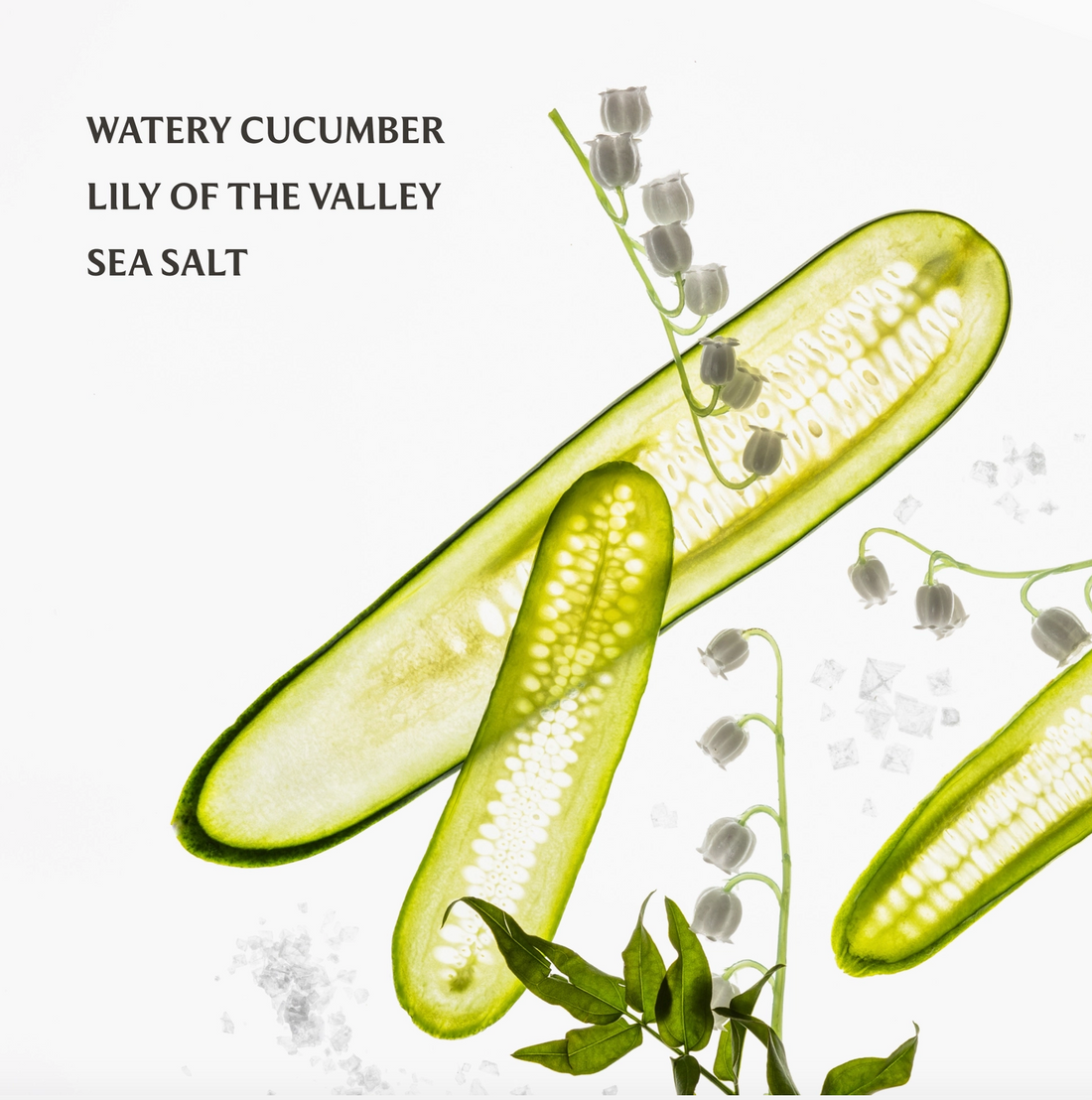 Lily of the Valley Hand Sanitizer