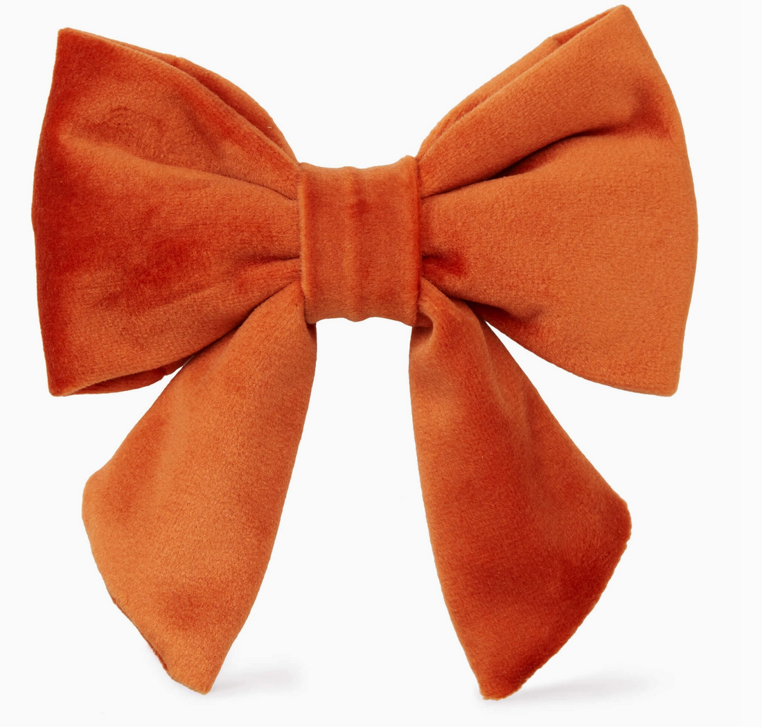 Pumpkin Velvet Lady Dog Bow