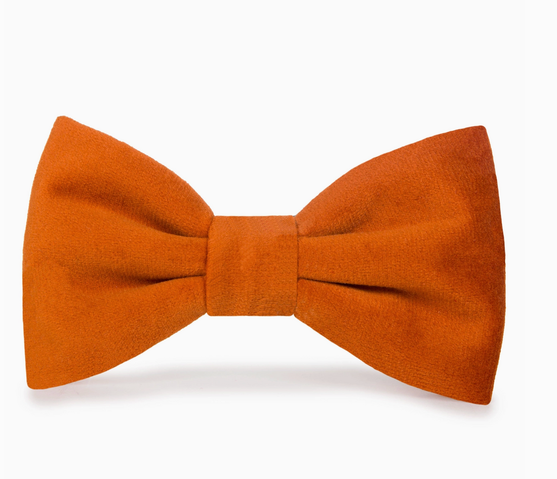 Pumpkin Velvet Dog Bowtie