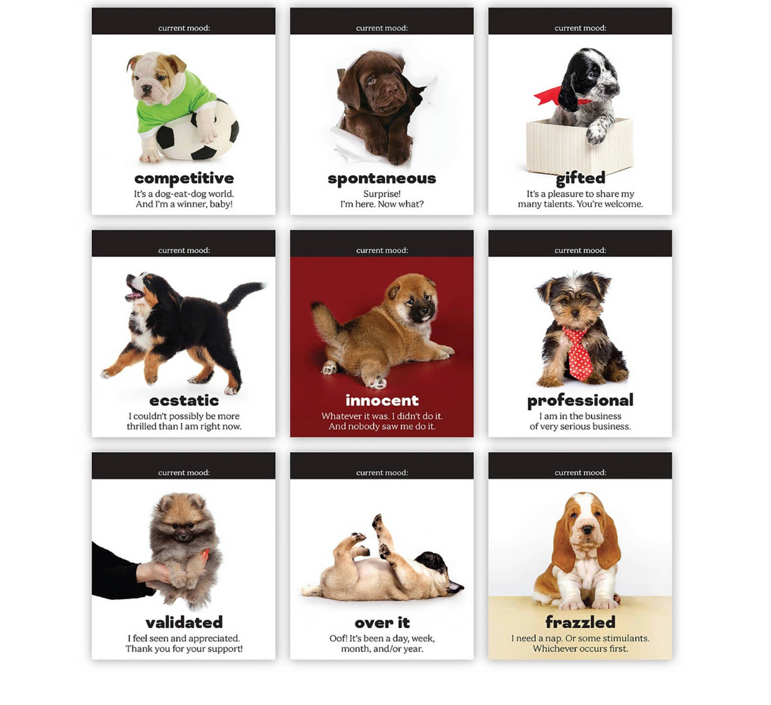 Daily Doggo Desk Flip Chart