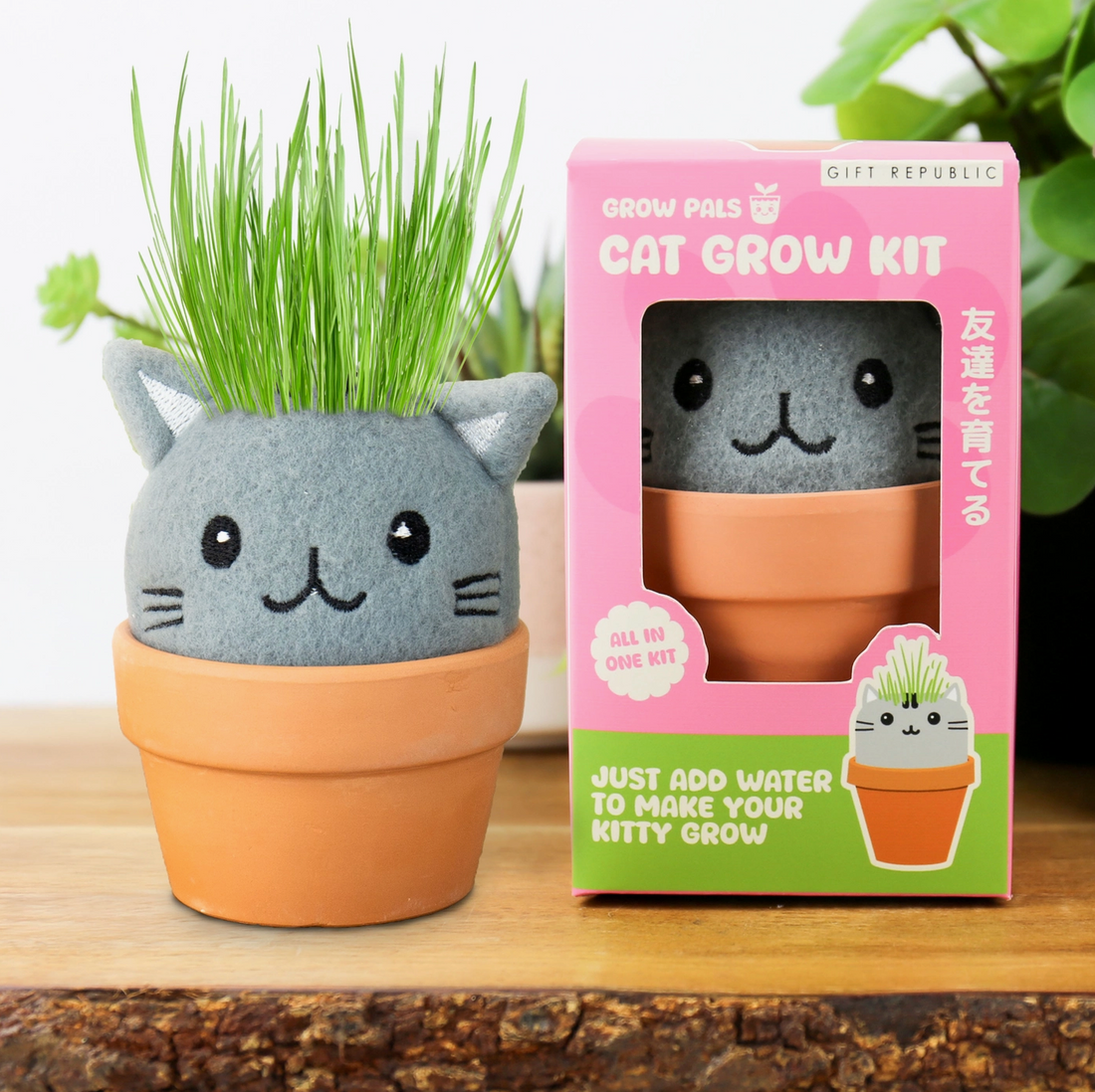 Grow Pals: Cat