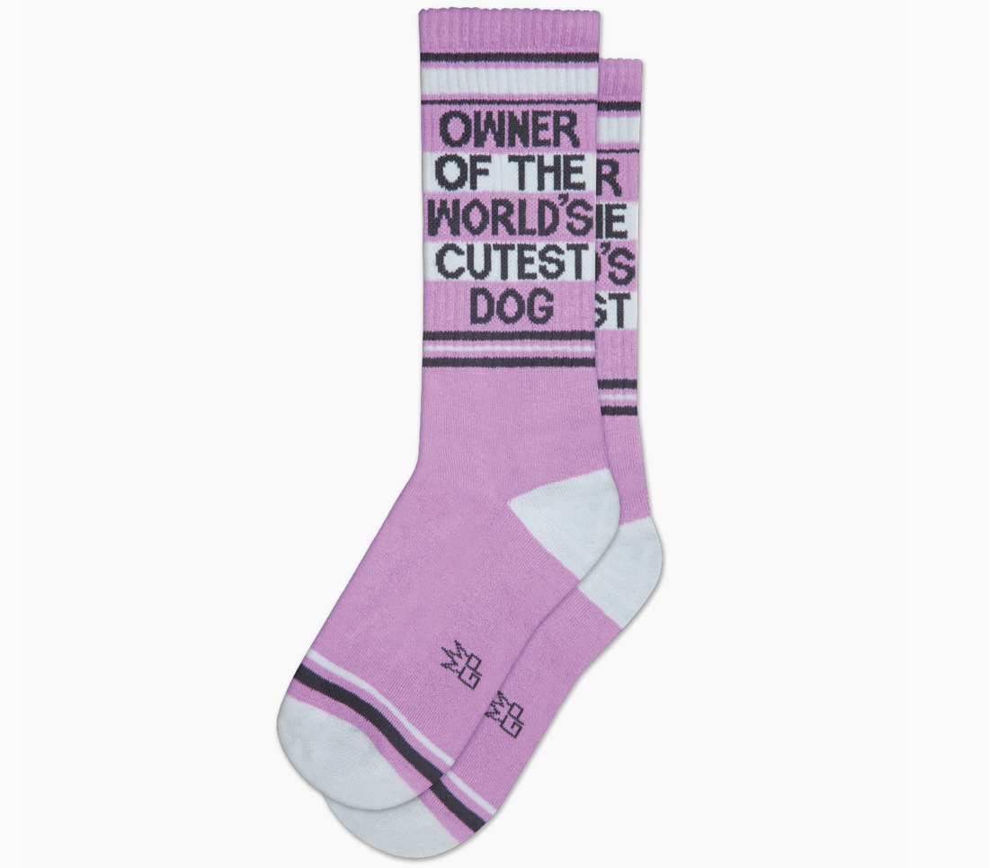 Owner of the Worlds Cutest Dog Socks
