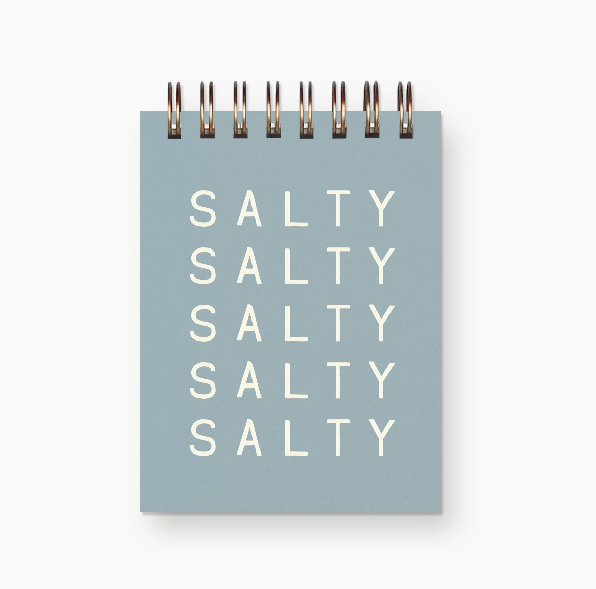 Salty Salty Mini Jotter Notebook