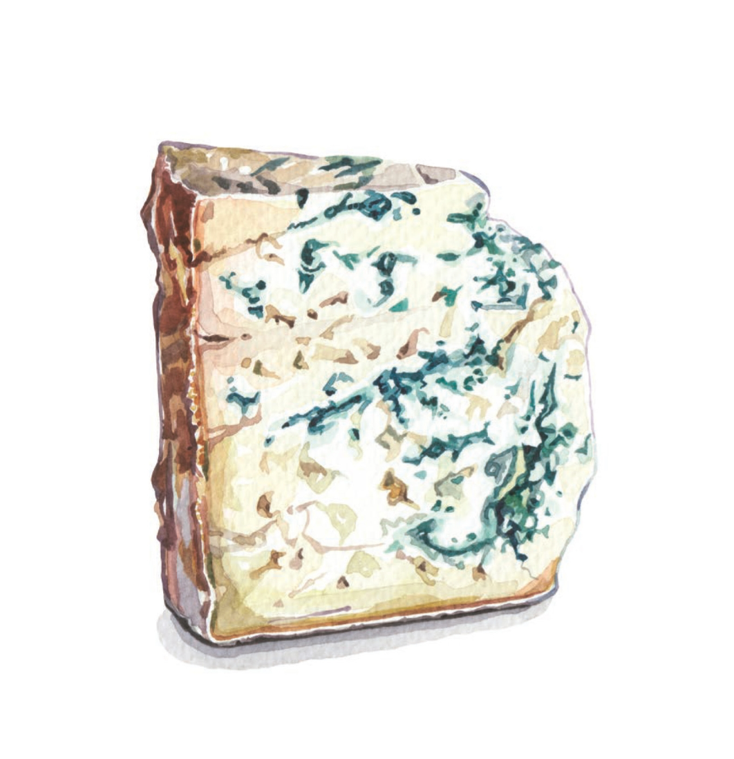 Cheese, Illustrated