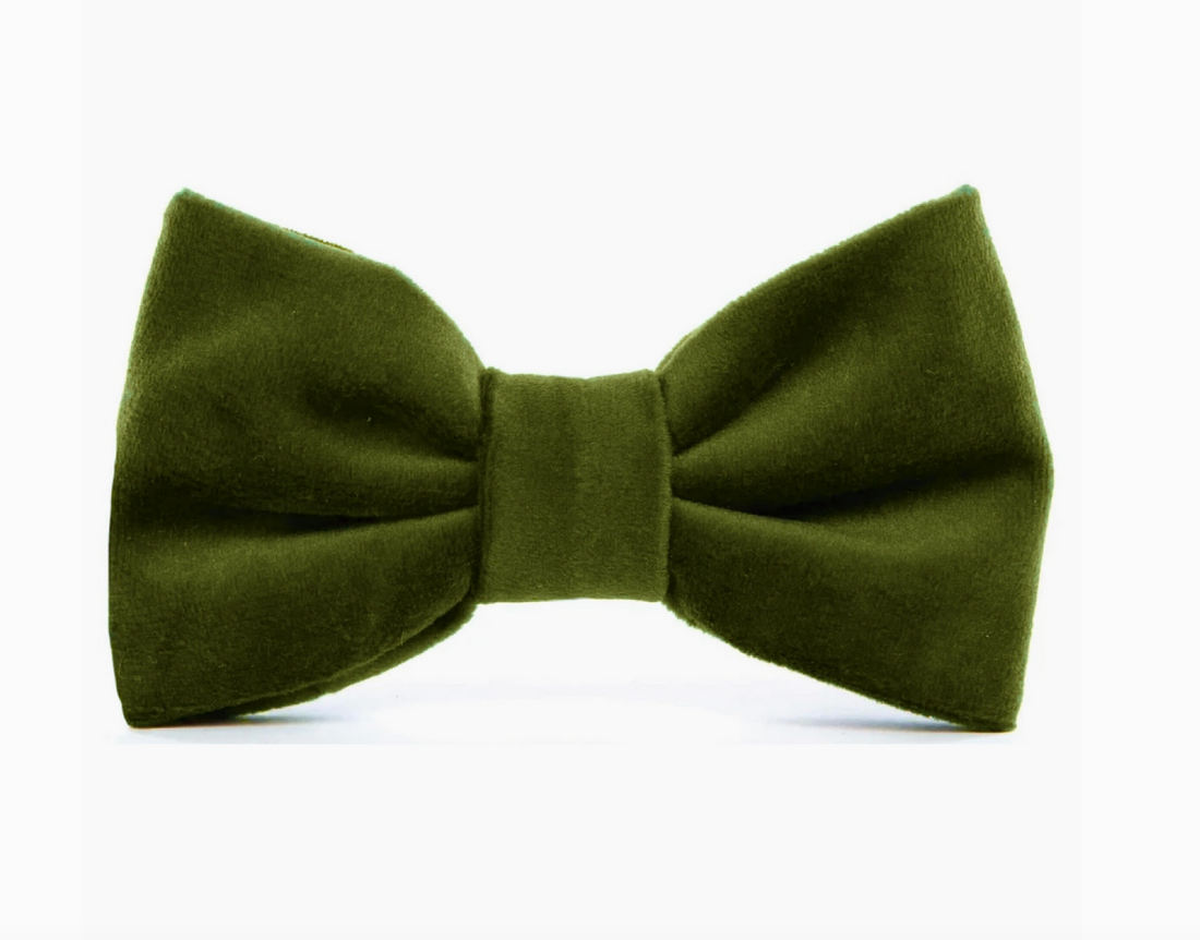 Olive Velvet Dog Bowtie