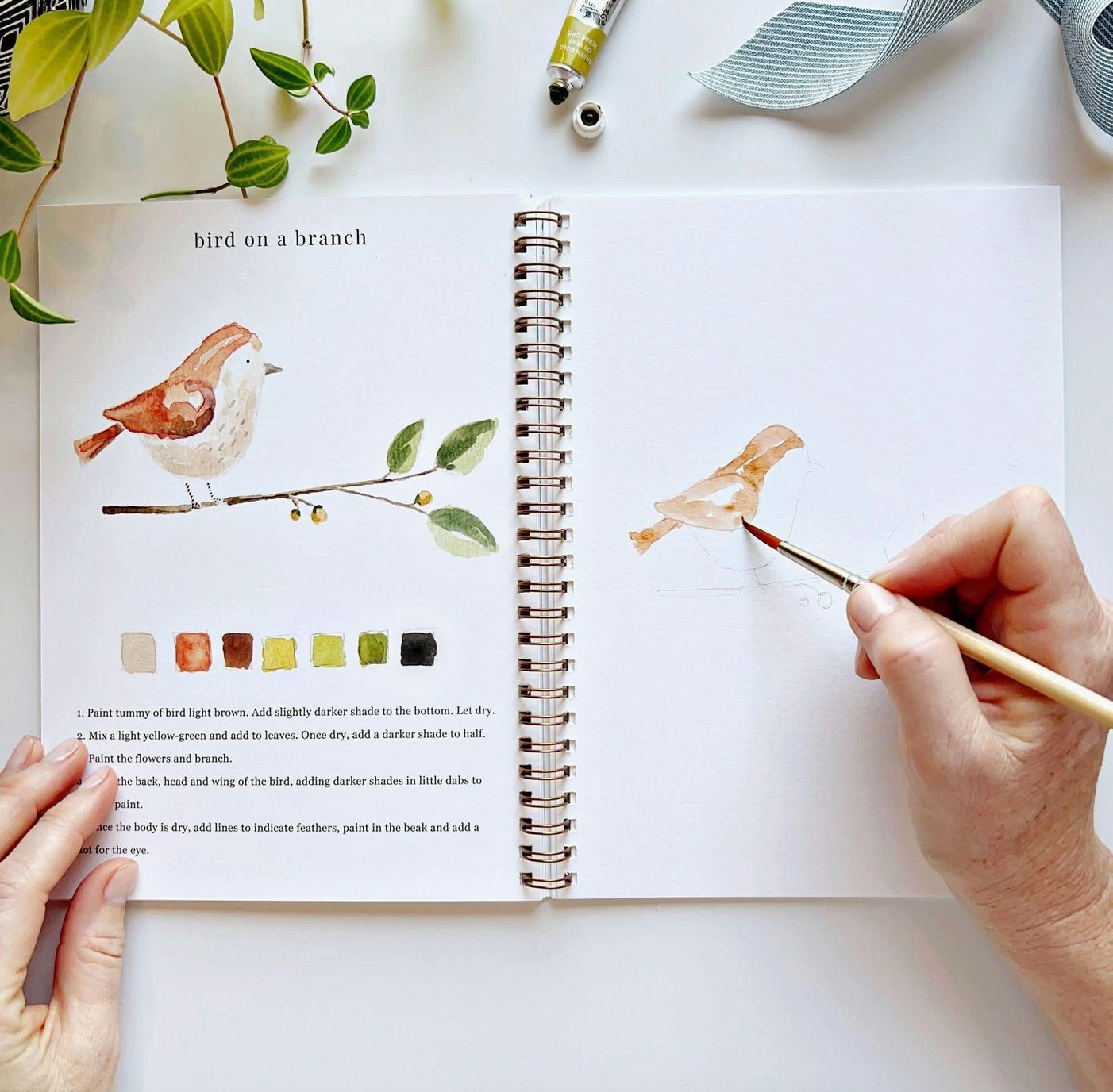 Watercolor Workbooks