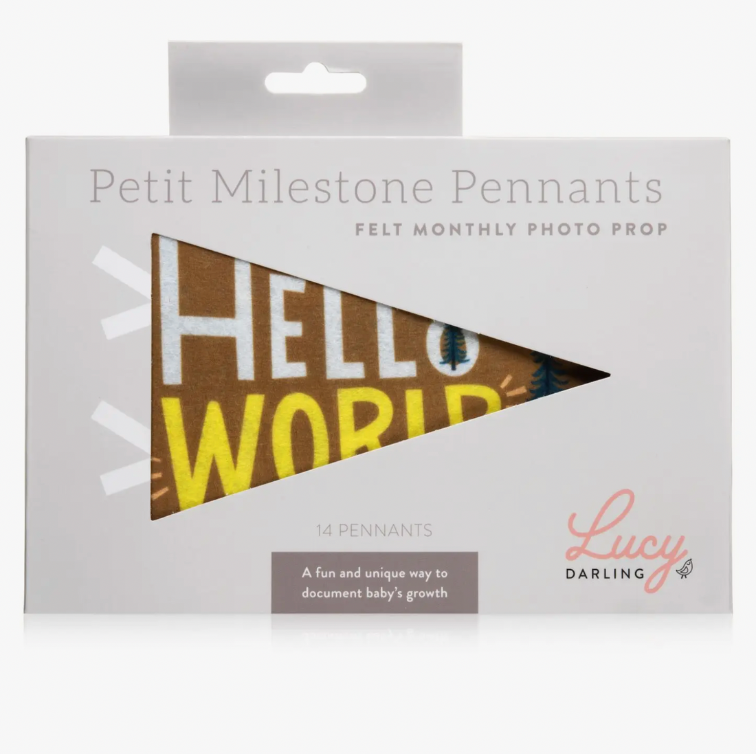 Lil Camper Milestone Pennants