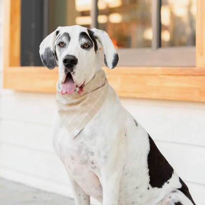 Sand Checkered Dog Bandana