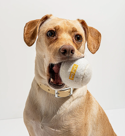 4-Pack White Tennis Balls