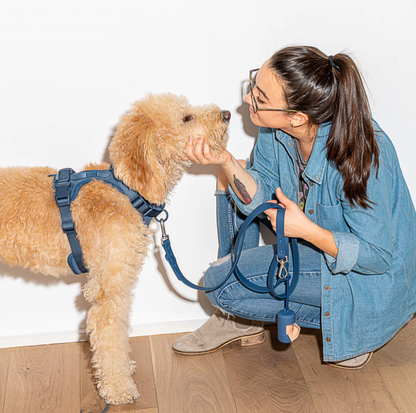 Adjustable Navy Dog Leash