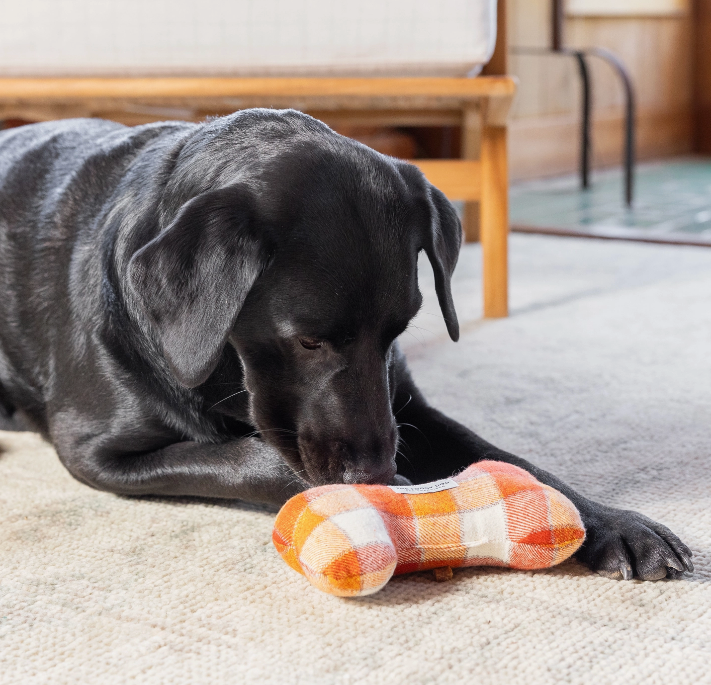 Pumpkin Spice Plaid Dog Bone