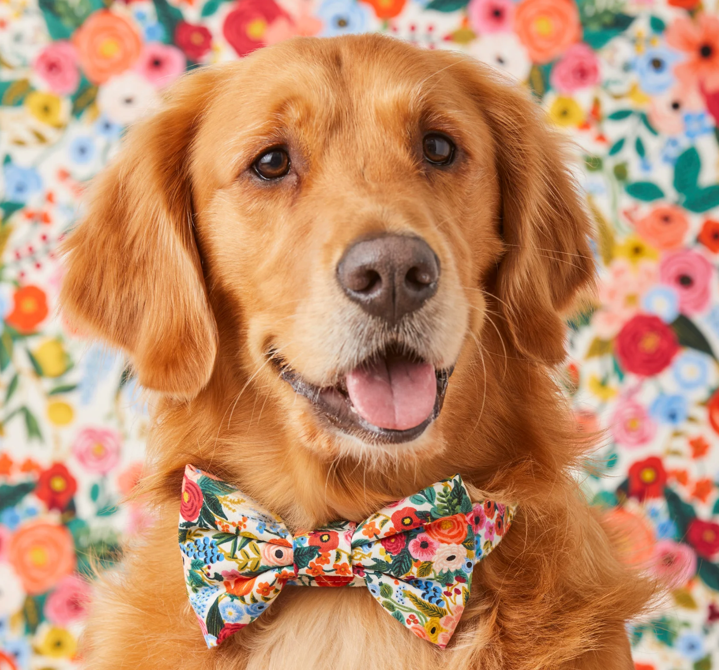 Garden Party Dog Bow Tie