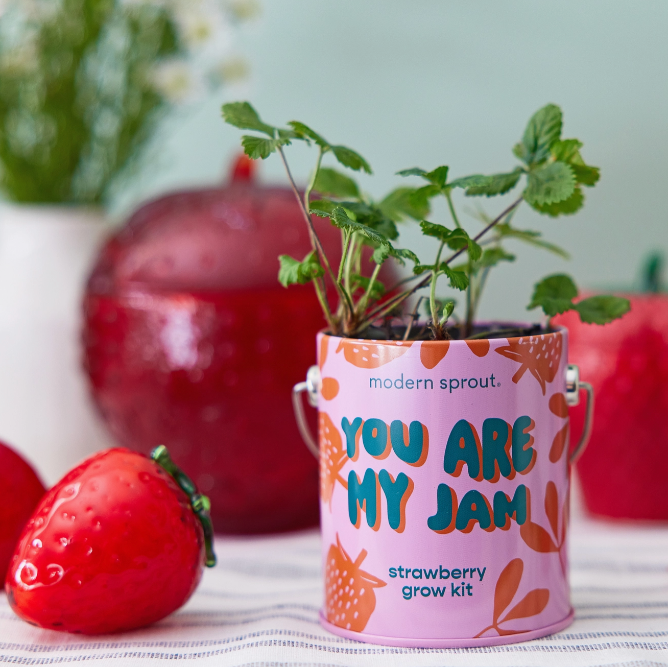 You Are My Jam: Strawberry Grow Kit