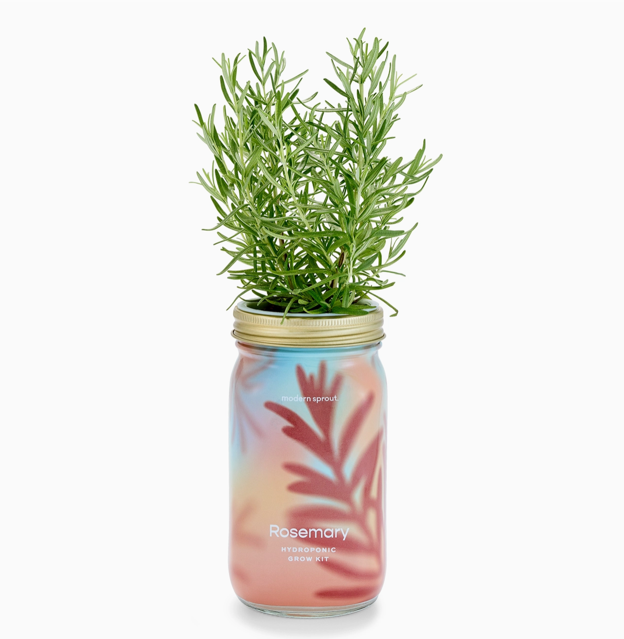 Rosemary Herb Garden Jar