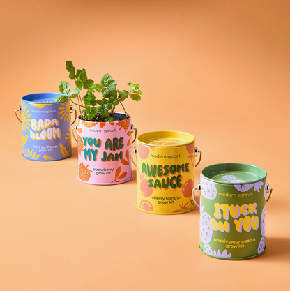 Bada Bloom: Grow Kit