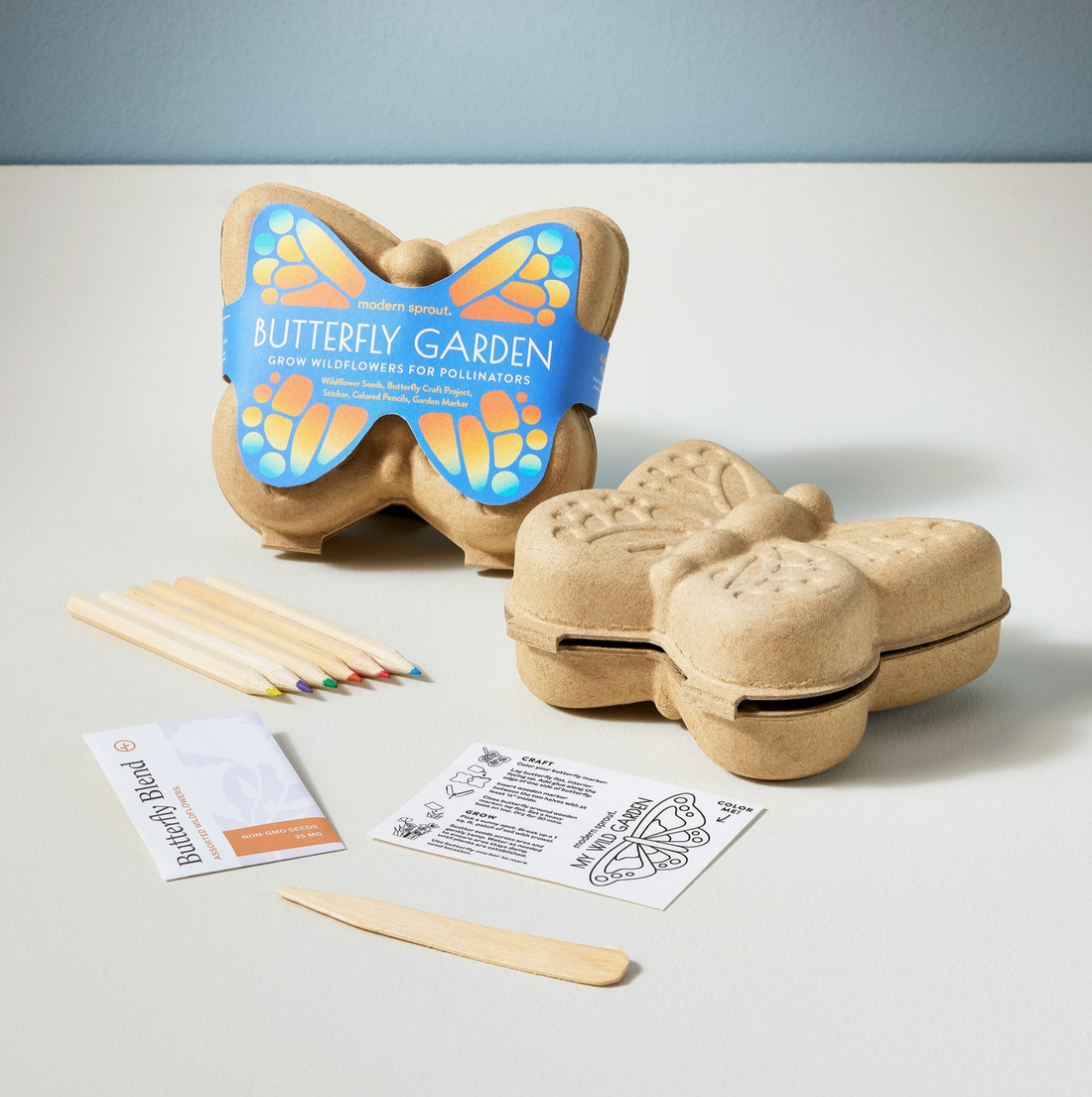 Curious Critters Activity Kit