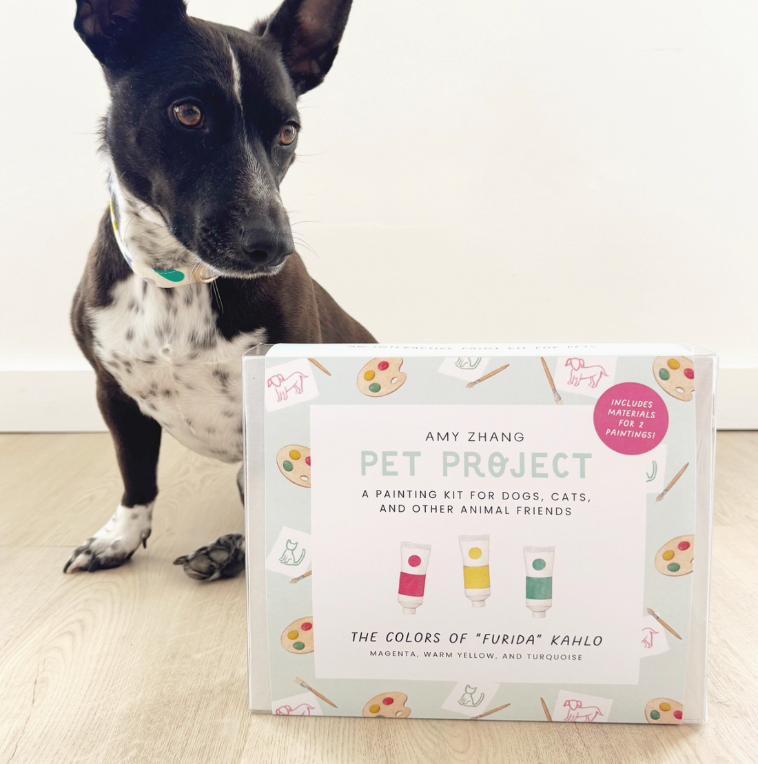 Pet Project: Paint Activity Kit For Dogs and Cats