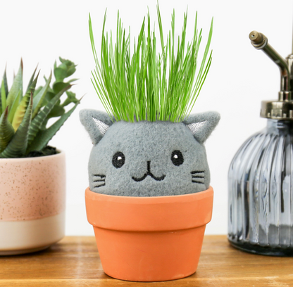 Grow Pals: Cat