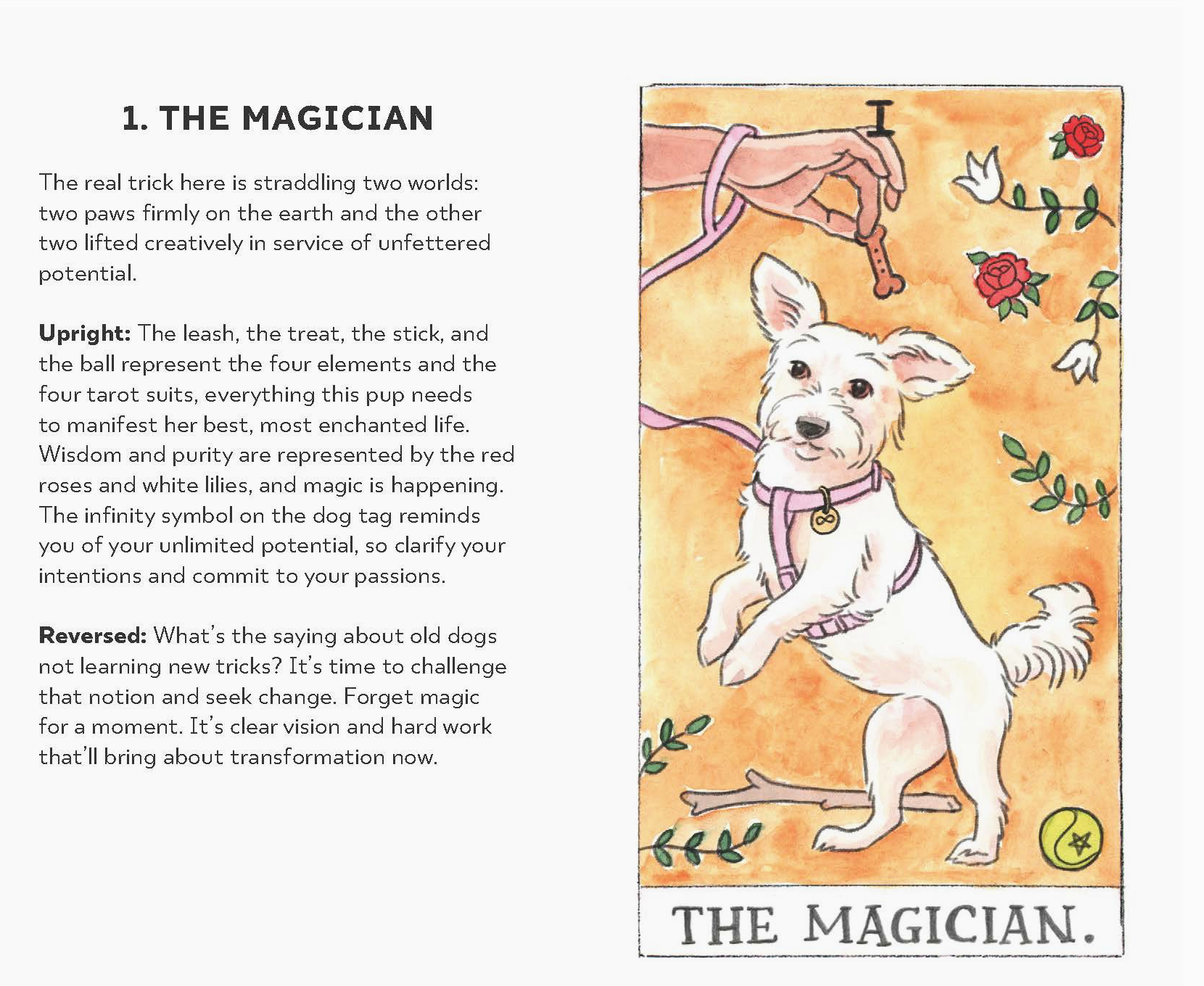 Dog Tarot