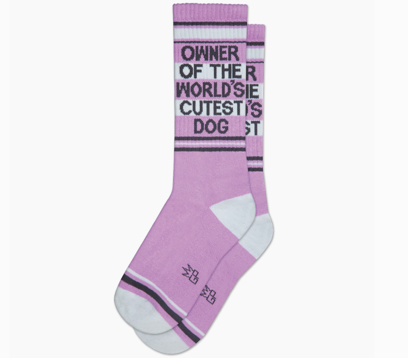 Owner of the Worlds Cutest Dog Socks