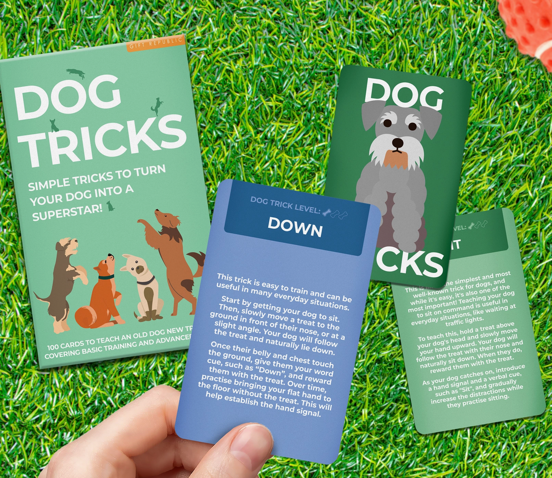 Dog Tricks