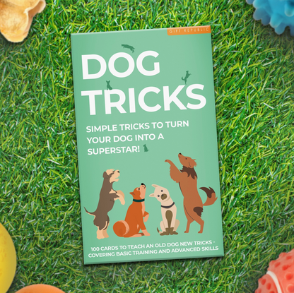 Dog Tricks