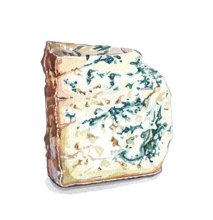 Cheese, Illustrated