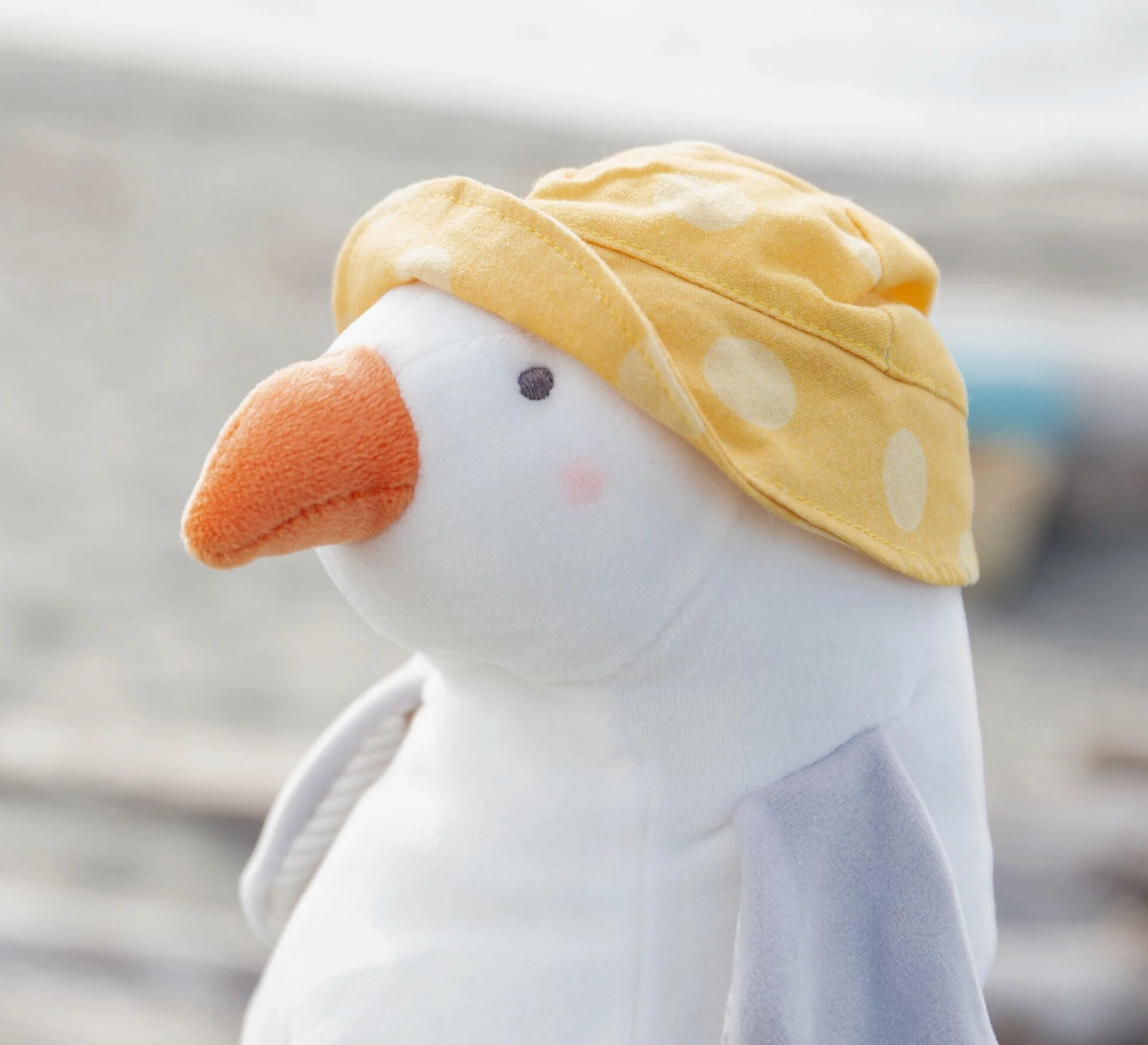 Guliver The Seagull