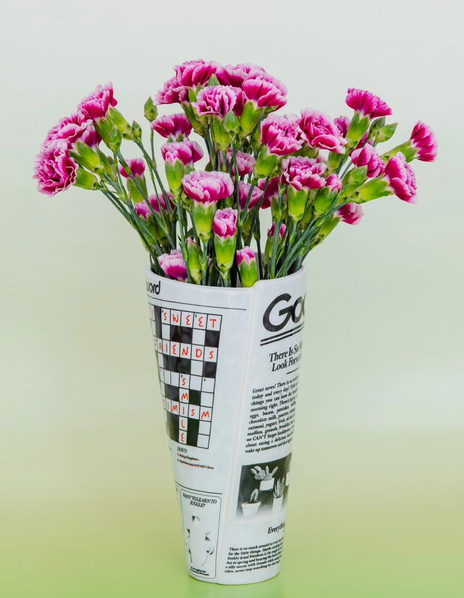 Newspaper Vase