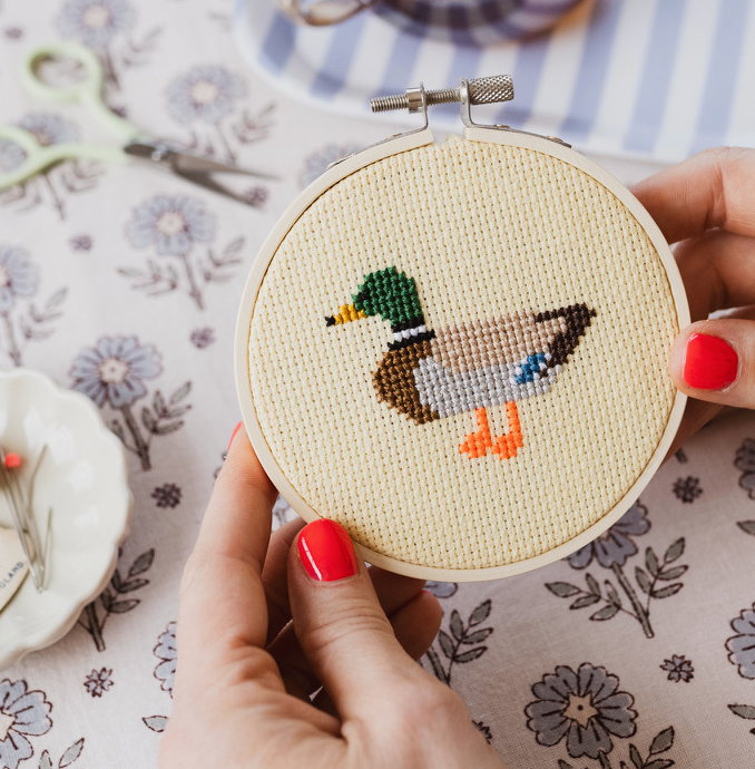 Duck Beginner Counted Cross Stitch Kit