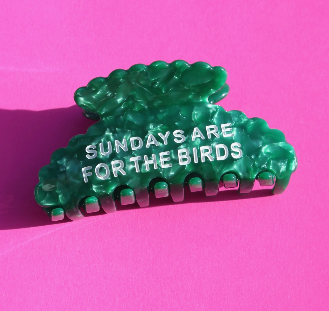 Sundays Are For The Birds Hair Clip