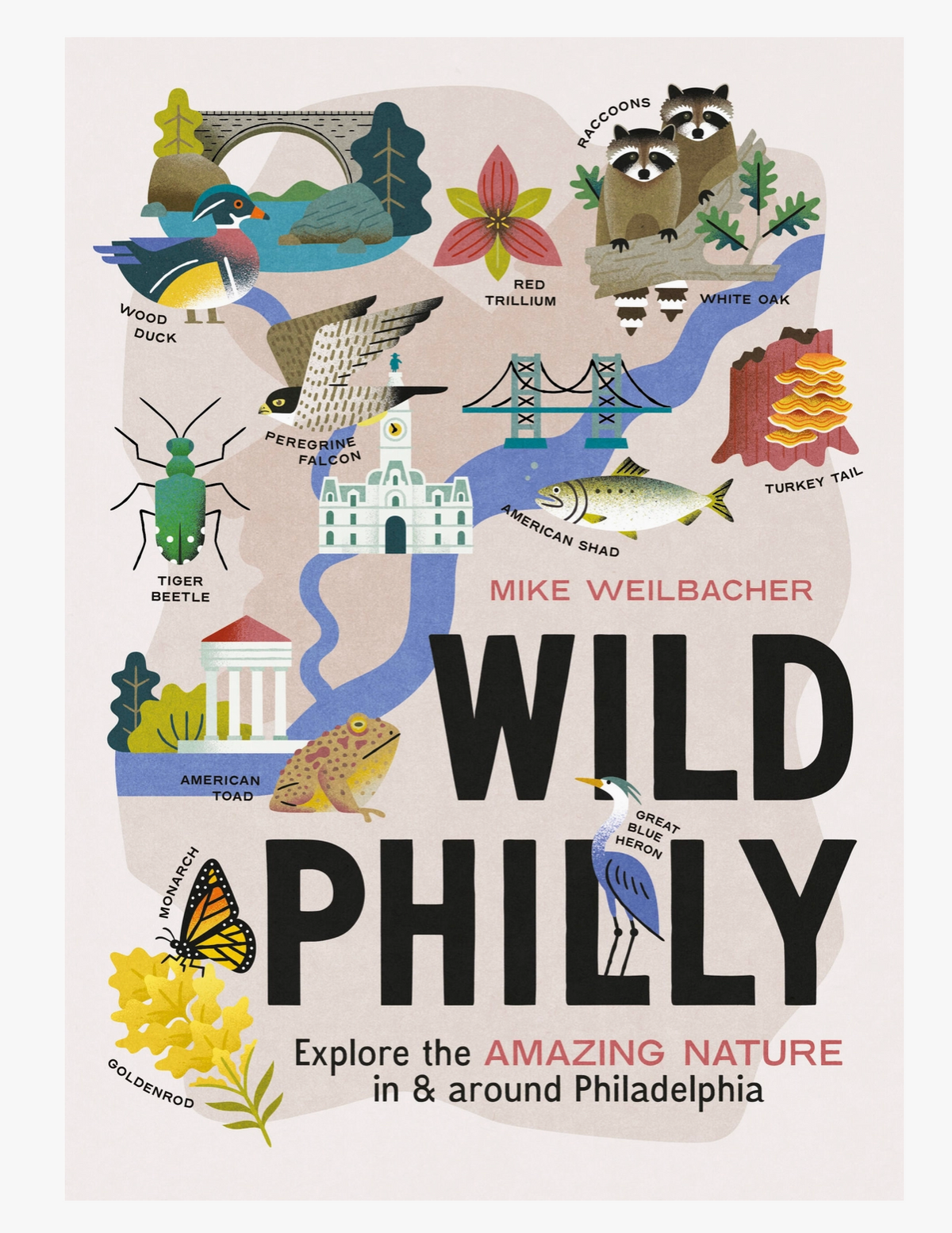 Wild Philly