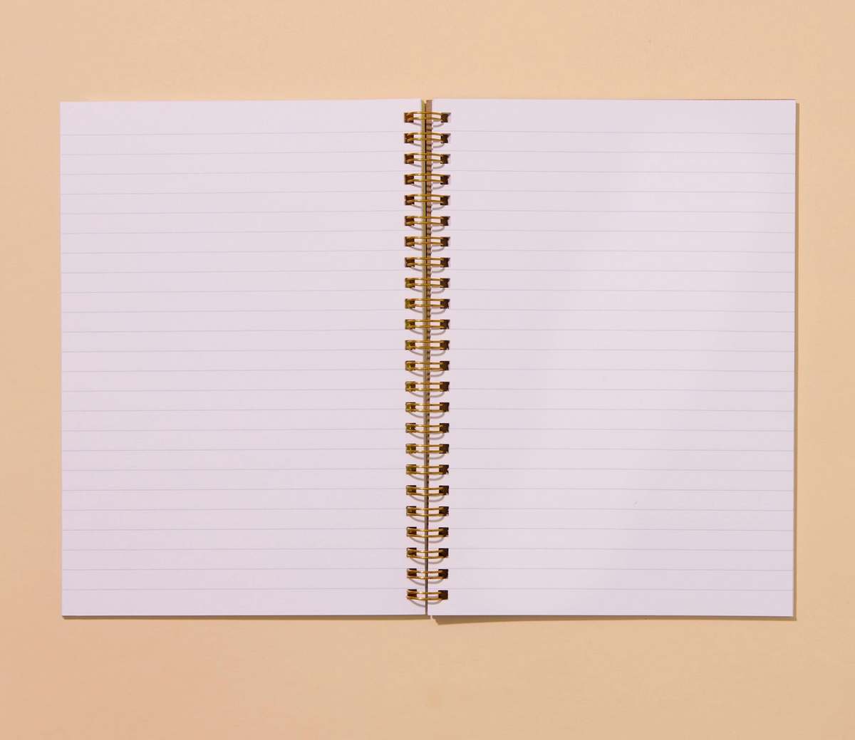 Dinner Party Lined Notebook