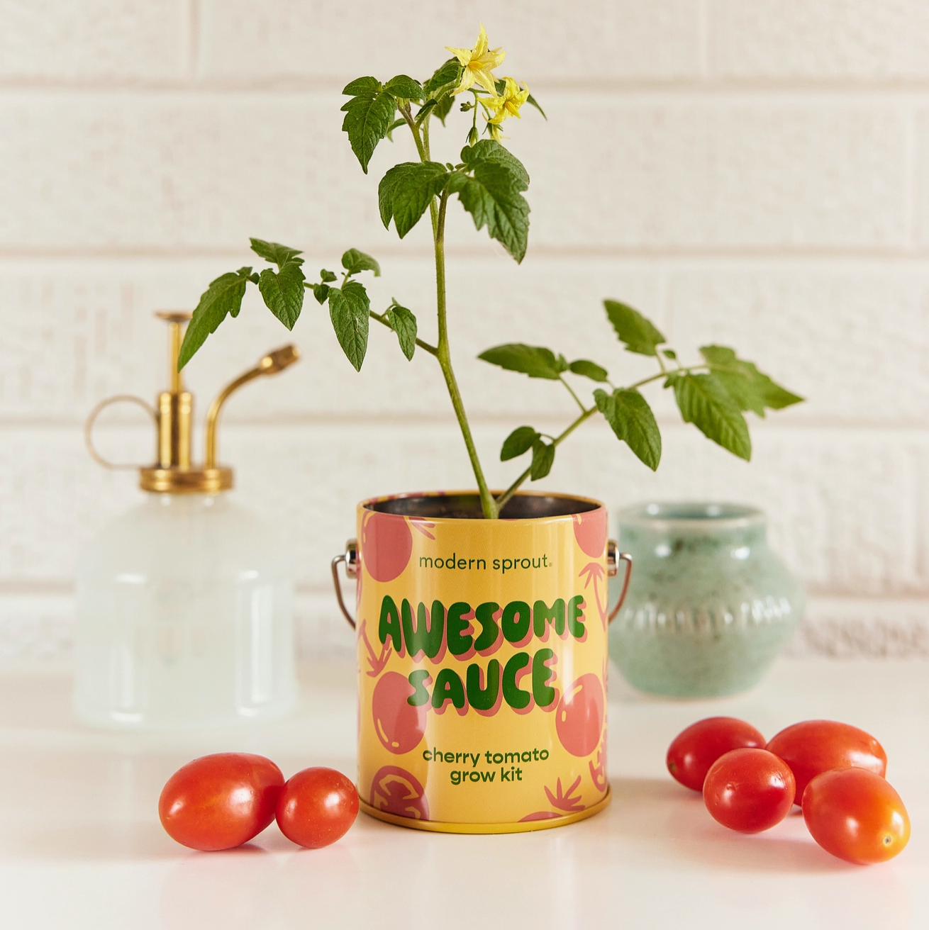 Awesome Sauce: Cherry Tomato Grow Kit